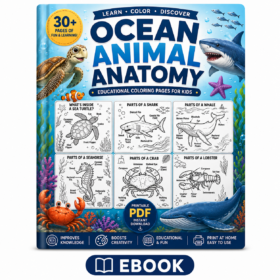 human body coloring pages for kids