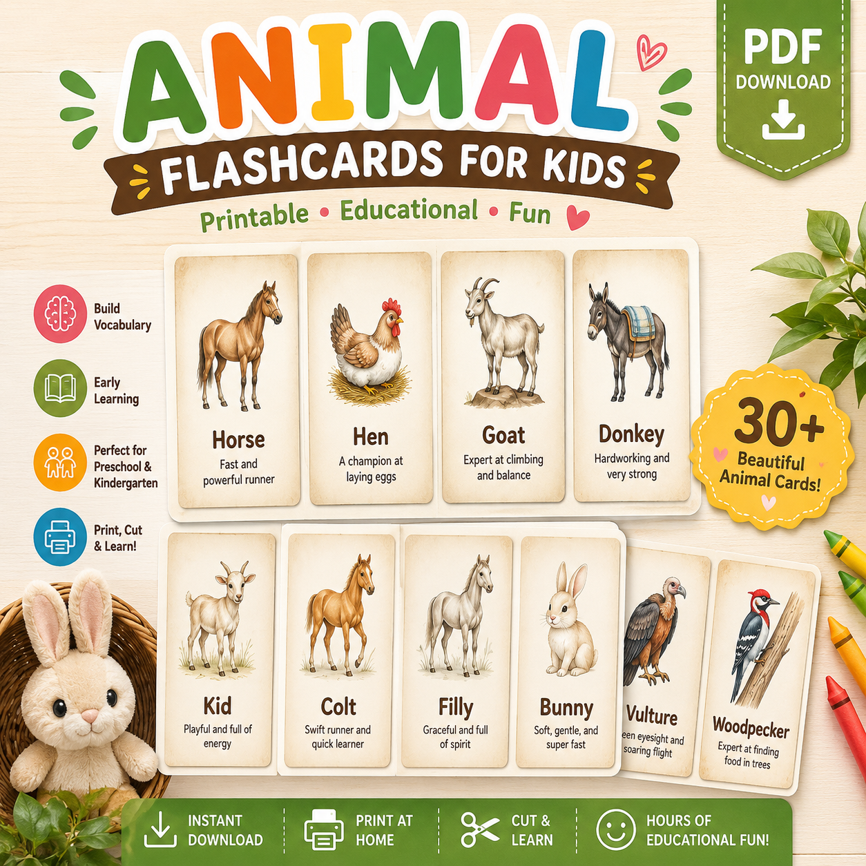 animal flashcards for kids