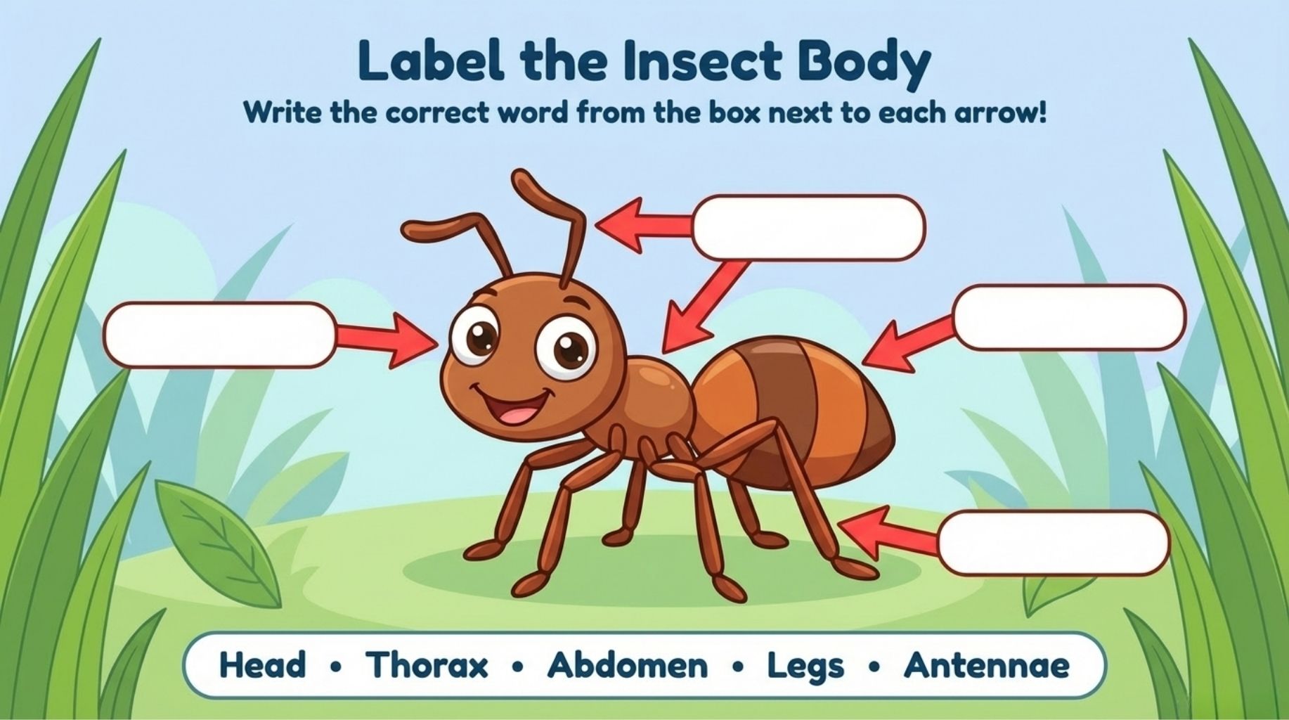 Insect World Activity Book for Kids – Fun Printable Learning Worksheets & Coloring Pages - Image 4